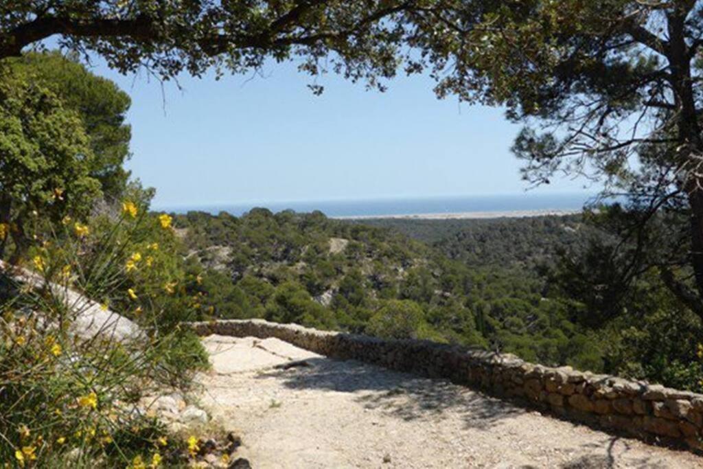 Entre Mer Et Garrigue Saint-Pierre-la-Mer (Aude) Exterior foto