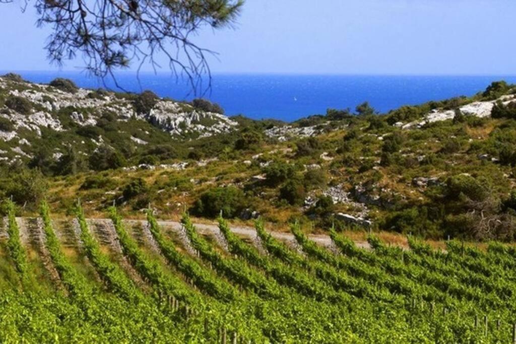 Entre Mer Et Garrigue Saint-Pierre-la-Mer (Aude) Exterior foto